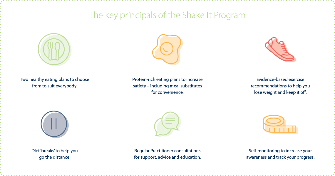 Shake It Program Key Principles